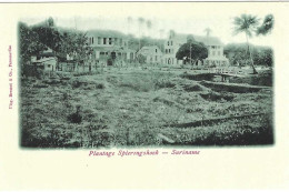 Surinam Plantage Spieringshock, Très Rare - Suriname