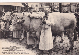Boucherie Exposition De Boeufs Gras Mi Careme Elevage Bovin Cattle - Marchands