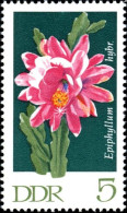 Rda Poste Obl Yv:1316 Mi:1625 Epiphyllum Hybr (TB Cachet Rond) - Cactus