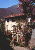 11877857 Cadempino Il Ticino Pittoresco Cadempino - Other & Unclassified