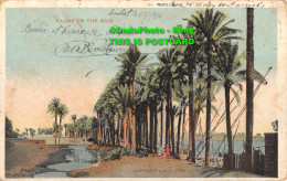 R417826 Palms On The Nile. I. And H. Postcard. 1910 - World