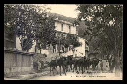 ALGERIE - MICHELET - HOTEL CALANQUINI - CHAMEAUX - Other & Unclassified