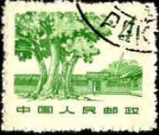 Chine Poste Obl Yv:1435 Mi:678 Sha Cho Pa Building Juikin (Beau Cachet Rond) - Used Stamps