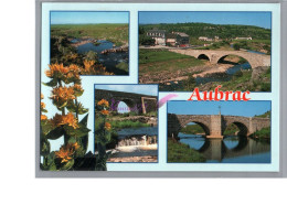 AUMONT AUBRAC 48 - Le Pont De Gournier Pont Des Nègres Pont De Marchastel Arnica Carte Vierge - Aumont Aubrac