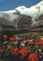 11877537 Saas-Fee Mit Alphubel Und Alpenflora Saas-Fee - Sonstige & Ohne Zuordnung