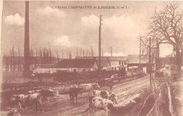 37-LIGUEIL- LAITERIE COOPERATIVE DE LIGUEIL - Andere & Zonder Classificatie