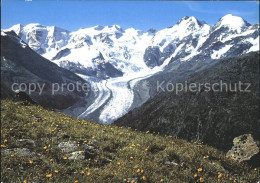 11875037 Pontresina Blick Von Der Paradishuette Auf Berninagruppe Und Morteratsc - Sonstige & Ohne Zuordnung