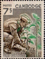 Cambodge Poste Obl Yv: 177 Mi:205 Reboisement (cachet Rond) - Kambodscha