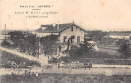 34-PEZENAS- VUE DU CLOS  " MONREVE " LUCAIN HUGUES PROPRIETAIRE - Pezenas