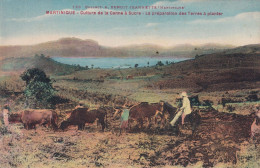 Colon Et Esclaves Canne à Sucre Martinique Sugar Cane Colonist And Slaves Esclavage Semi Moderne Benoit Jeannette - Landbouwers