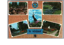 LE VESINET 78 - Les Rivières Les Ibis Le Cerf Carte Vierge - Le Vésinet