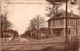 91 PERRAY VAUCLUSE - Avenue Des Tilleuils - Autres & Non Classés