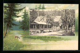 AK Braunlage, Gasthof Waidmühle, Reh Am Bach  - Other & Unclassified