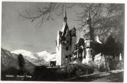 Sinaia - Peleș Museum (2) - Rumänien