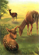 Animaux - Cervidés - Art Peinture Illustration - W Remme - Wild Life Cards - Biche - CPM - Voir Scans Recto-Verso - Autres & Non Classés