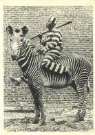 Animaux - Zèbres - Prisonnier - CPM - Voir Scans Recto-Verso - Zebra's