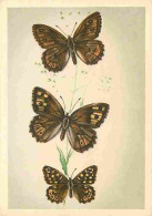 Animaux - Papillons - Papillons Diurnes D'Europe - Série 2 - 19a L'Agreste - Satyrus Semele L - 19b Le Tigris - - Pararg - Farfalle