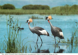 Animaux - Oiseaux - Afrique De L'Est - Grue Couronnée - Carte Neuve - CPM - Voir Scans Recto-Verso - Birds