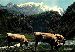 Animaux - Vaches - Pyrénées - Montagnes - CPM - Voir Scans Recto-Verso - Mucche