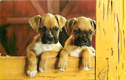 Animaux - Chiens - Bullmastiff - Chiots - CPM - Voir Scans Recto-Verso - Chiens