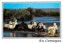 Animaux - Chevaux - Camargue - Manade De Chevaux Camarguais Dans Les Marais - Flamme Postale - CPM - Voir Scans Recto-Ve - Pferde