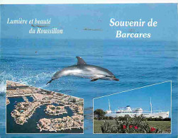 Animaux - Dauphins - CPM - Voir Scans Recto-Verso - Delfines