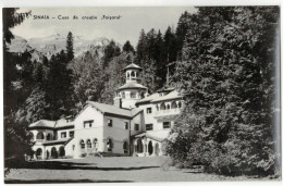 Sinaia - ”Foișorul” Creation House - Rumänien