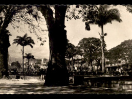 GUADELOUPE - POINTE-A-PITRE - PLACE DE LA VICTOIRE - SABLIERS CENTENAIRES ET PALMIERS ROYAUX - ARBRES - Pointe A Pitre