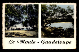 GUADELOUPE - LE MOULE - PLAGE DE LA BAIE ET CAMPING - Other & Unclassified