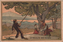 ROYAL MOKA La Recolte Des Olives - Other & Unclassified