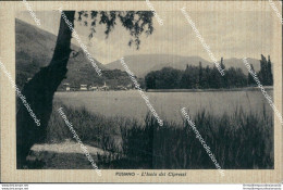 Bs34 Cartolina Pusiano L'isola Dei Cipressi  1941 Provincia Di Como - Rimini