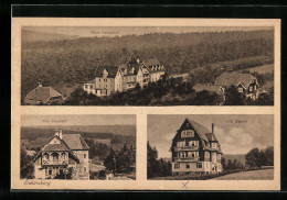 AK Schömberg, Neue Heilanstalt, Villa Elisabeth, Villa Sigwart  - Schömberg