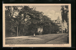 AK Krefeld, Partie Am Stadtgarten  - Krefeld