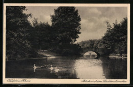 AK Krefeld A. Rhein, Blick Auf Den Stadtwaldweiher  - Krefeld