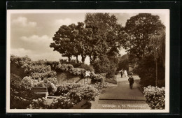 AK Uerdingen A. Rh., Rheinanlagen  - Other & Unclassified