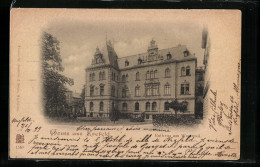 AK Krefeld, Rathaus Am Westwall  - Krefeld