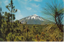 TENERIFE PICO DEL TEIDE PIC DU TEIDE THE PEAK OF TEIDE - Sonstige & Ohne Zuordnung