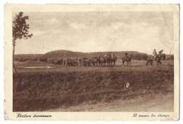 57  Bitche - Artillerie Divisionnaire -  A Travers Les Champs - Bitche