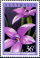Australie Poste N** Yv: 973/976 Orchidées Australiennes (Thème) - Neufs