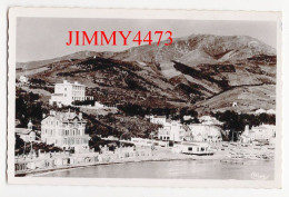 CPSM - BANYULS-SUR-MER En1950 - Vue Panoramique - Photo COMBIER MACON - Banyuls Sur Mer