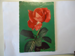 ITALY POSTCARDS ROSES 1978 - Other & Unclassified