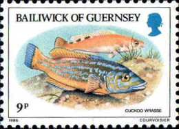 Guernesey Poste N** Yv:316/320 Poissons Du Baillage - Guernsey