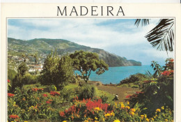 FUNCHAL MADEIRA EASTERN VIEW VUE ORIENTALE - Madeira