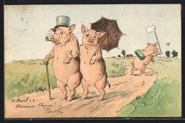 Lithographie Vermenschlichte Schweine Gehen Als Familie Spazieren  - Cochons