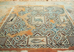 CHYPRE - Mosaïques Curium Limassol - Colorisé - Carte Postale - Cipro