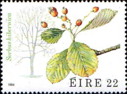 Irlande Poste N** Yv: 535/538 Faune & Flore 7.Serie Arbres - Neufs