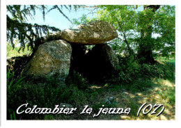 07 COLOMBIER LE JEUNE / LE DOLMEN - Andere & Zonder Classificatie