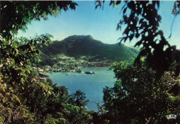 FRANCE - Guadeloupe - Les Saintes - Le Port Napoléon - La Rade De Terre De Haut Et Le Chameau - Carte Postale - Sonstige & Ohne Zuordnung