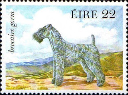 Irlande Poste N** Yv: 506/510 Faune & Flore 6.Serie Chiens De Race - Cani