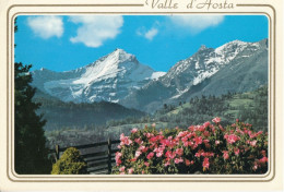 VALLE D AOSTA  LA GRIVOLA - Other & Unclassified